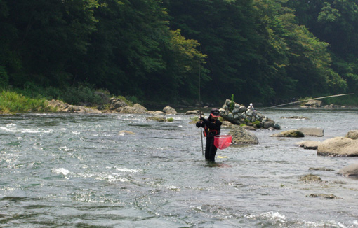 a0056140_1550041.jpg