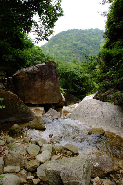 b0075541_1912530.jpg