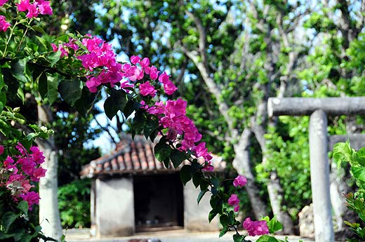 e0050753_363454.jpg