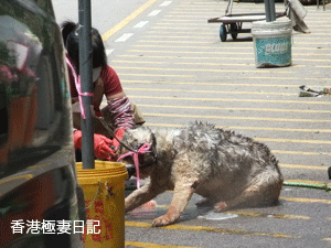 f0190653_9133672.gif