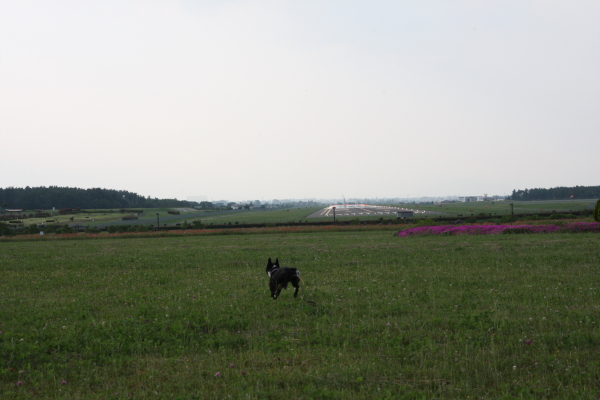 f0160554_19551126.jpg