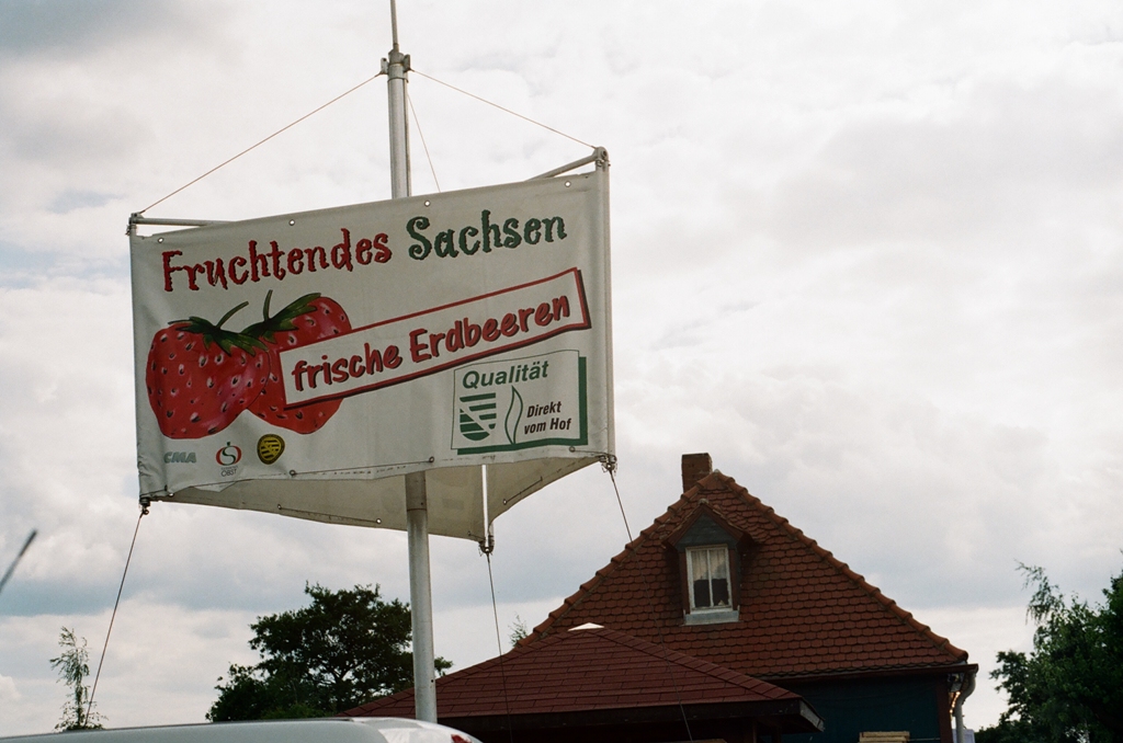 e0134658_4375693.jpg