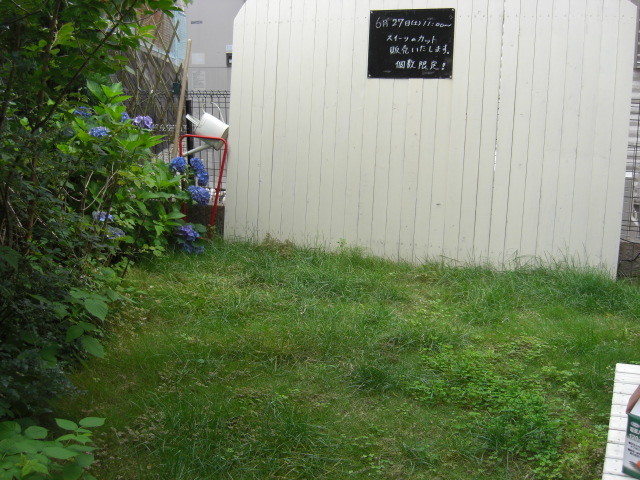 c0169360_2158517.jpg
