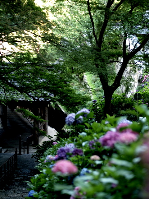 b0081266_17205741.jpg