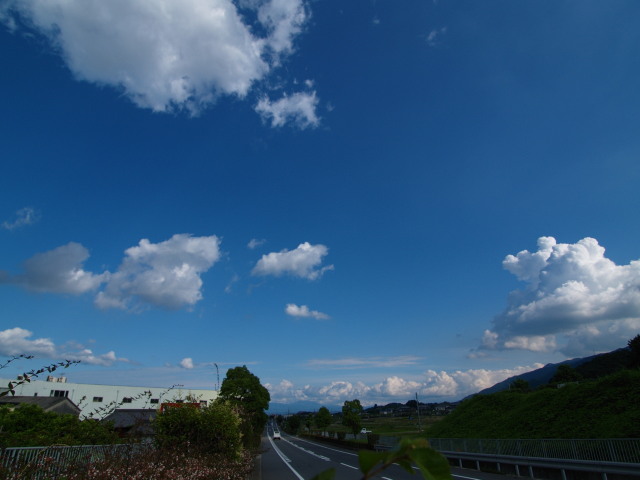b0081266_1743699.jpg