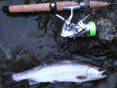 a0030168_16301284.jpg