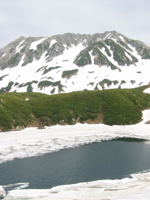 d0094868_830493.jpg
