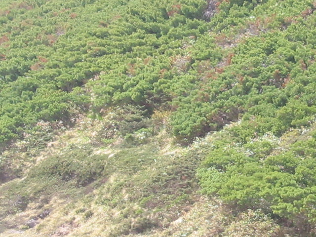 d0094868_8344292.jpg