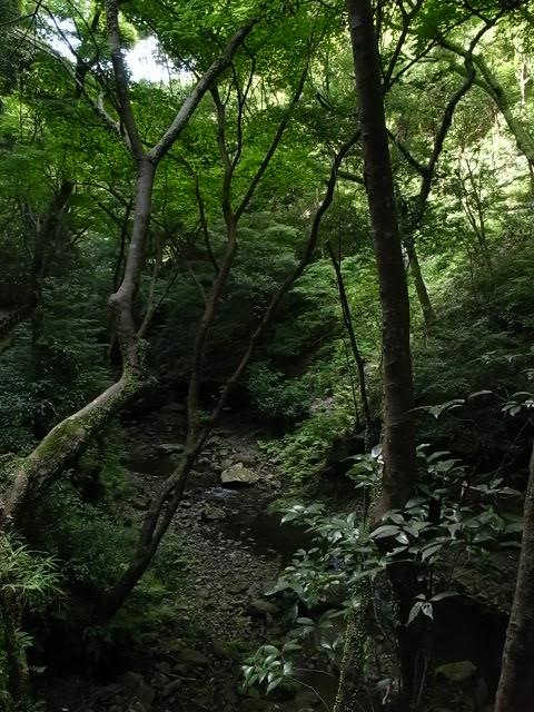 b0170369_19113912.jpg