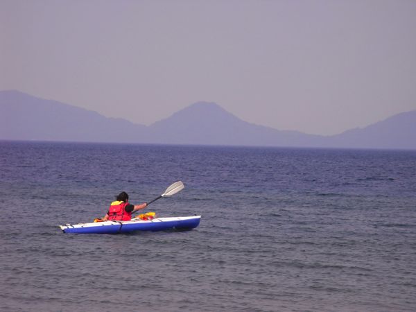 d0005370_1338024.jpg