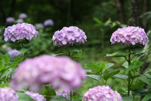 b0055171_23135951.jpg