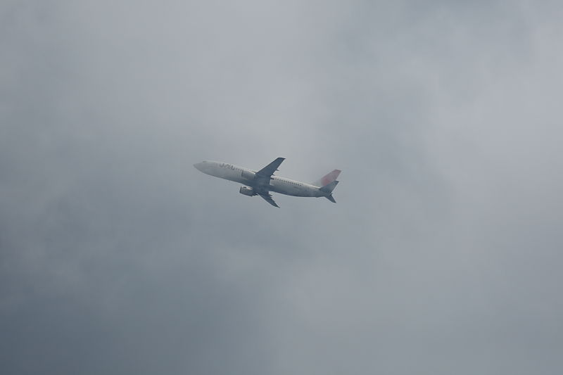 a0117972_21113376.jpg