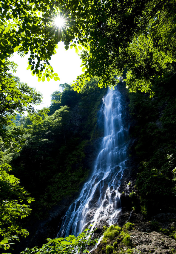 f0145674_0264775.jpg