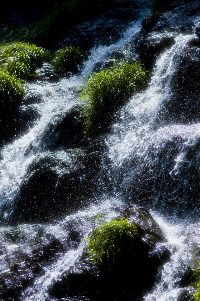 f0145674_034317.jpg