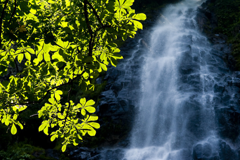 f0145674_0344527.jpg