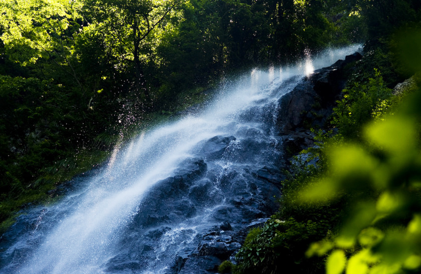 f0145674_035380.jpg