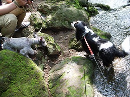 f0030875_23542382.jpg