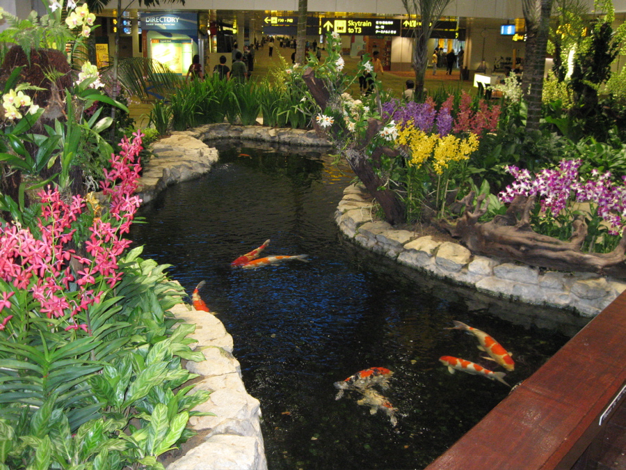b0174079_2005687.jpg