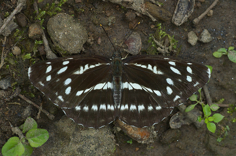 f0090680_23551516.jpg