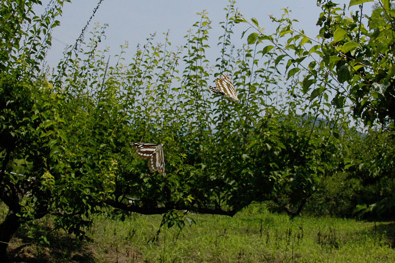 f0090680_23564969.jpg