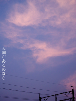 c0145183_1633391.jpg
