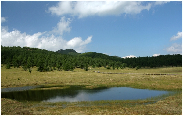 e0027083_184443.jpg