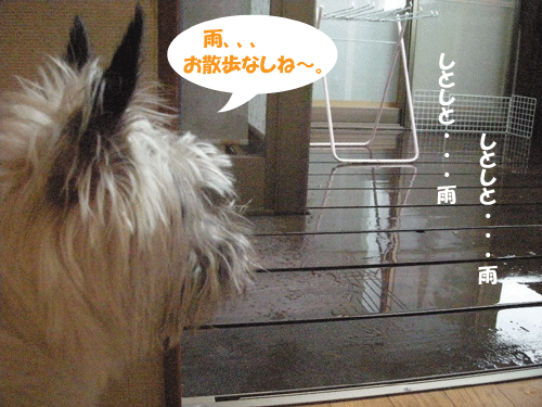e0066883_22173883.gif