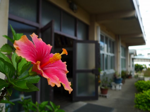b0115085_1612294.jpg
