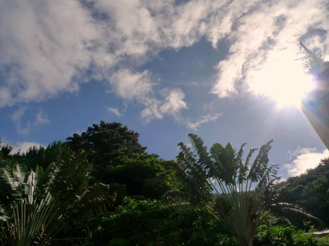 b0115085_1672356.jpg