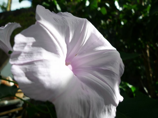 b0115085_1693651.jpg