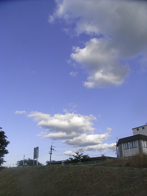 a0118289_913389.jpg