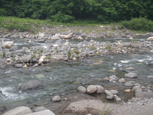b0178889_15504792.jpg