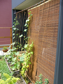 b0100094_105029100.jpg