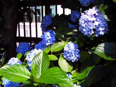 c0179996_2132772.jpg