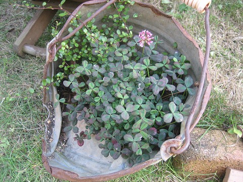 c0196701_15264317.jpg