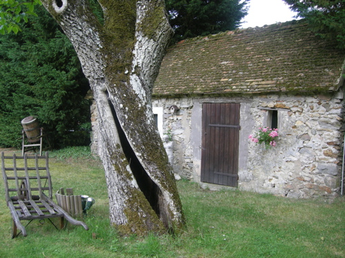 e0073103_19421126.jpg