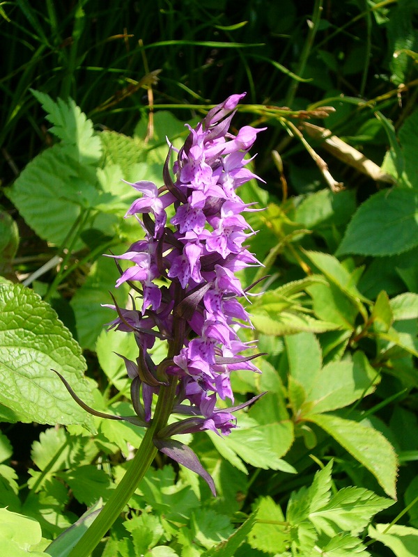b0050305_8245524.jpg