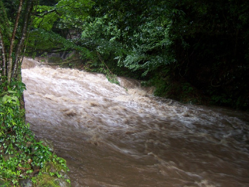 b0126408_19401677.jpg