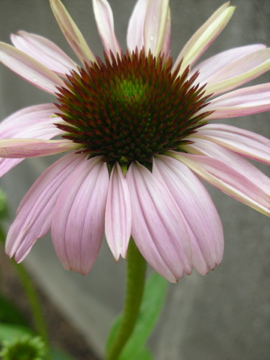 c0145209_22384951.jpg