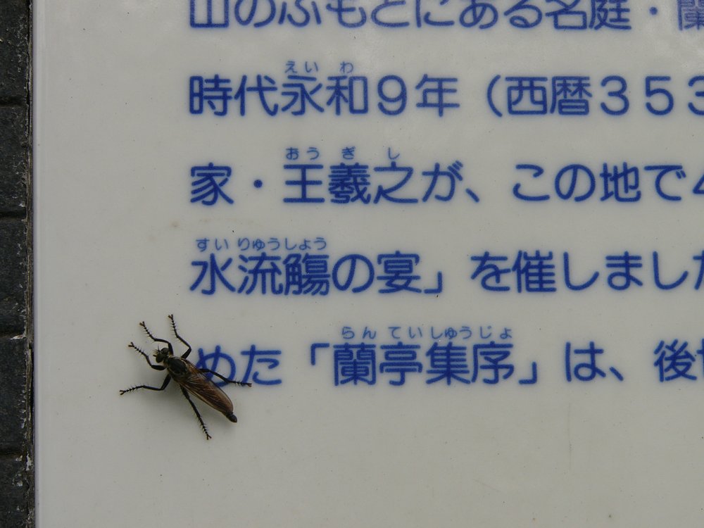 c0062511_68174.jpg