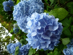 f0126515_1748263.jpg