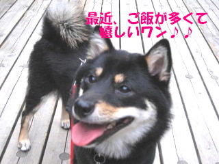 c0185516_22183967.jpg