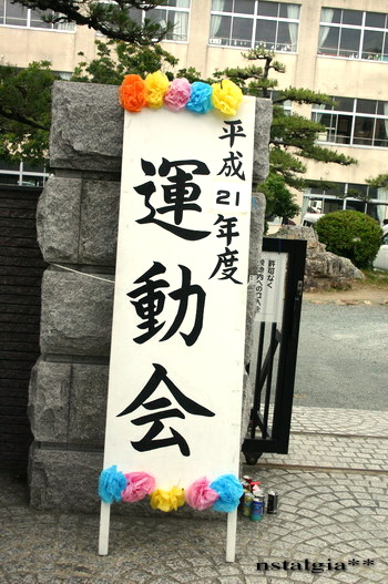 d0004617_8114956.jpg