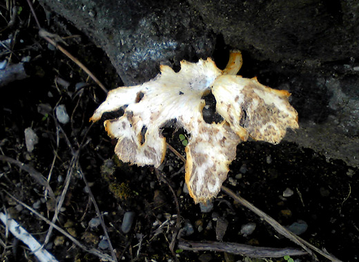c0147123_21334776.jpg