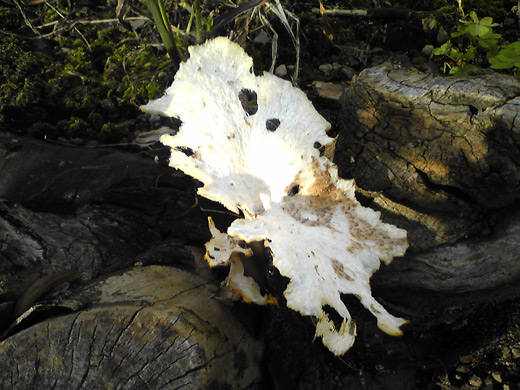 c0147123_2133931.jpg