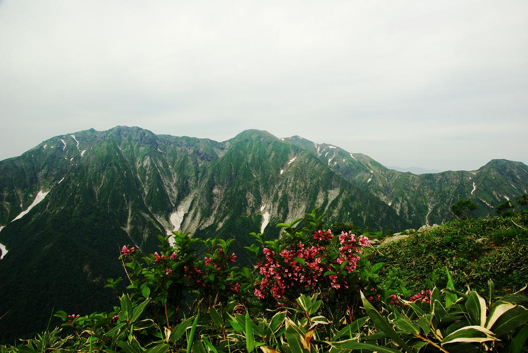 b0062024_840714.jpg