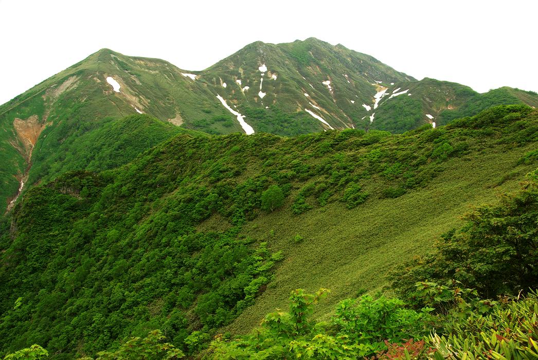 b0062024_8445997.jpg