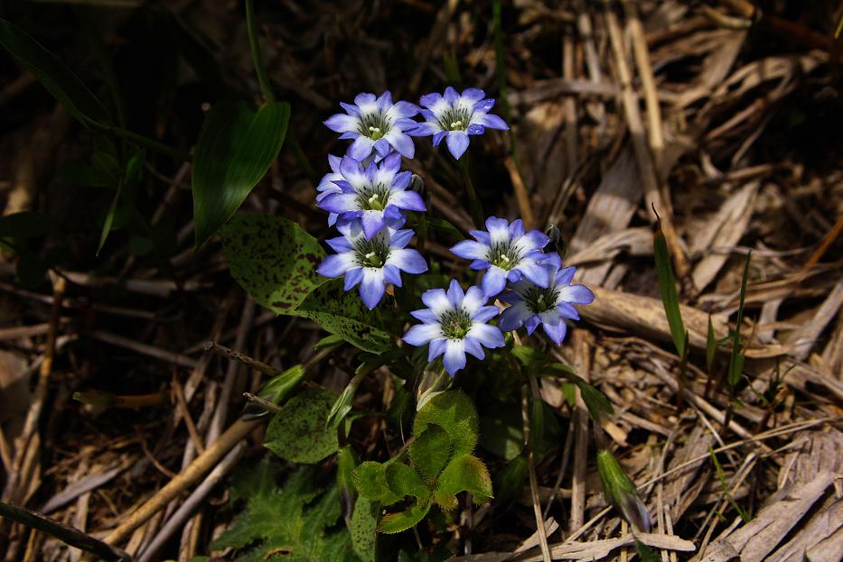 b0062024_918339.jpg