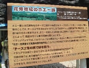 f0181524_23542190.jpg