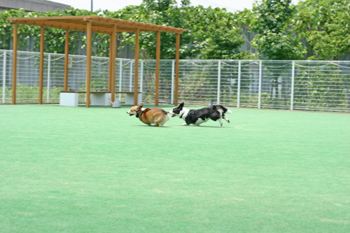 e0071225_063779.jpg